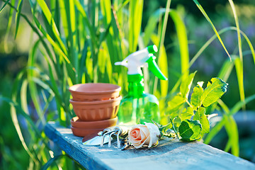 Image showing garden tools