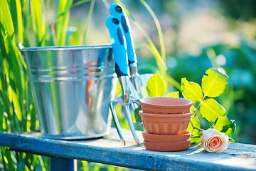 Image showing garden tools