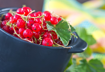 Image showing red currant