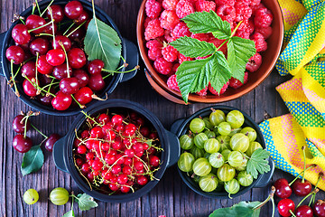 Image showing berries