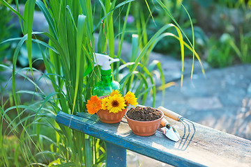 Image showing garden tools