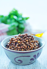 Image showing lentil