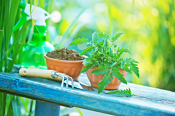 Image showing gardening utensil