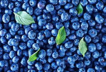 Image showing blueberry