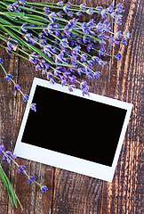 Image showing lavender