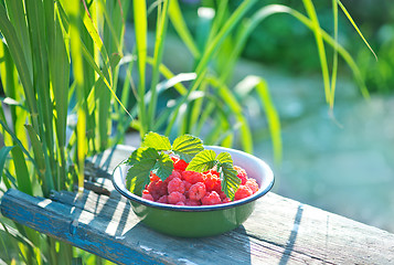 Image showing fresh raspberry