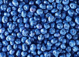 Image showing blueberry