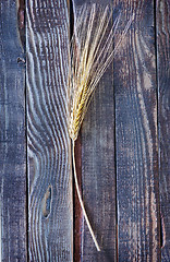 Image showing wheat