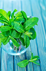 Image showing fresh mint