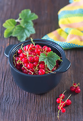 Image showing red currant