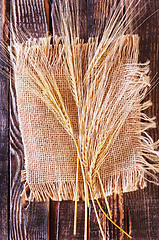 Image showing wheat