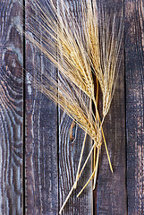 Image showing wheat