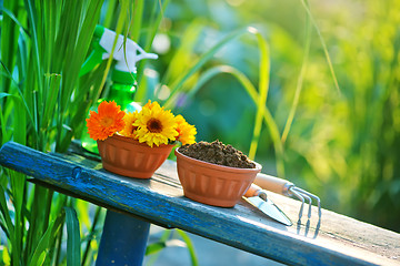 Image showing garden tools