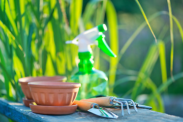 Image showing garden tools