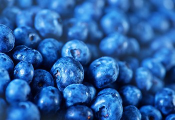 Image showing blueberry