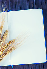 Image showing wheat and paper