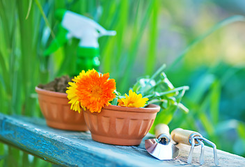 Image showing garden tools