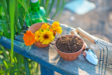 Image showing garden tools