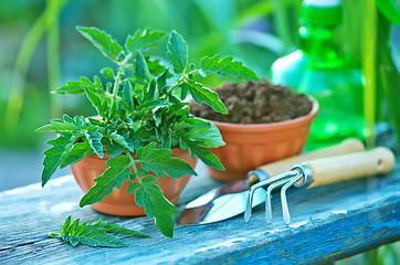 Image showing gardening utensil