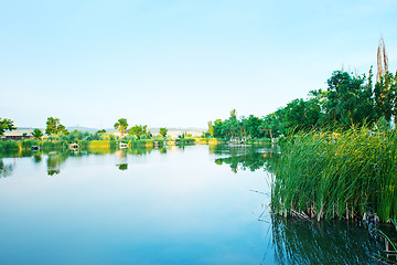 Image showing Lake in Crimea