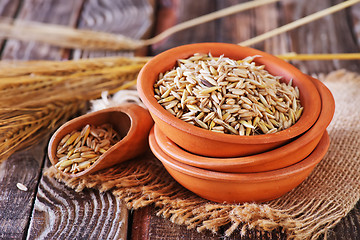 Image showing oat grain