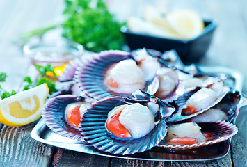 Image showing scallop