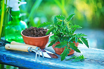 Image showing gardening utensil