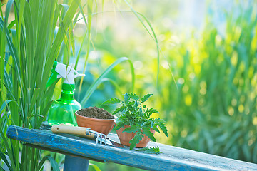 Image showing gardening utensil