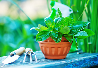 Image showing gardening utensil