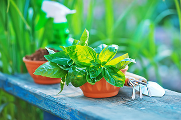 Image showing gardening utensil