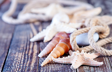 Image showing sea shells