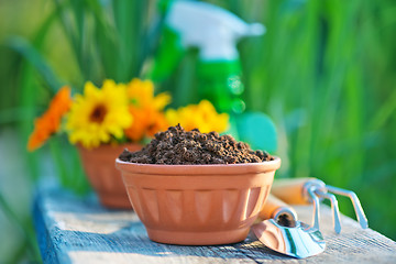 Image showing garden tools