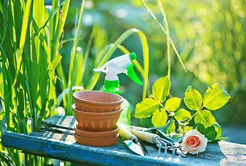 Image showing garden tools