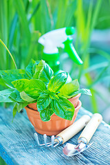 Image showing gardening utensil