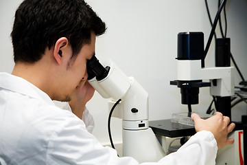 Image showing Working scientist