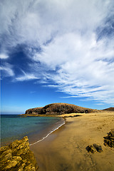 Image showing coastline  in lanzarote  beach  water and summer 
