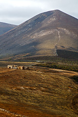 Image showing home viticulture    lanzarote  