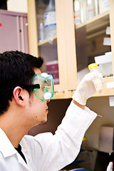 Image showing Working scientist