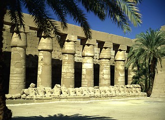 Image showing Temple in Luxor