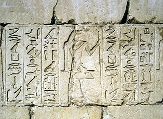 Image showing Relief in Sakkara,Egypt