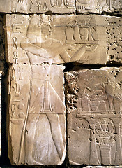 Image showing Relief in Luxor