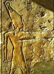 Image showing Relief,Egypt