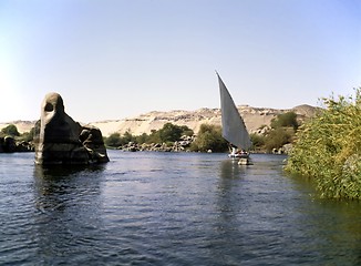 Image showing Elephant Island, Asuan