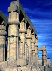 Image showing  Karnak Temple, colonnade