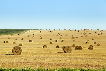 Image showing straw stack  