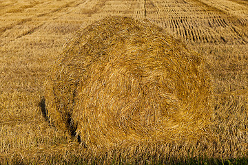 Image showing straw stack  