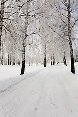 Image showing the winter road  