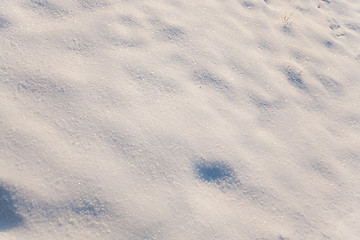 Image showing snow  winter 