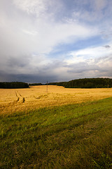 Image showing cloudy weather  