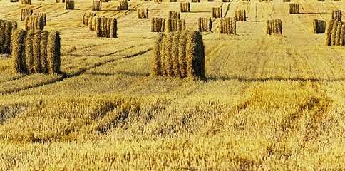 Image showing straw stack  